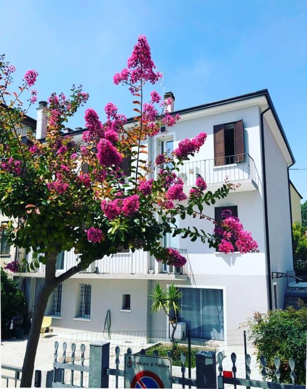 Hotel Civico21 Padova Exteriér fotografie